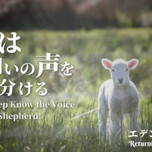 「羊は羊飼いの声を聞き分ける」エデンへの帰還＃４The Sheep Know the Voice of their Shepherd